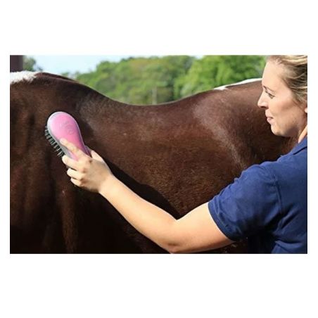 Kit de aseo para Caballos - Oster precio en Paraguay. Tienda oficial. Veterinaria. Animales
