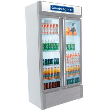 Exhibidor Goodweather 610 Lts 2 Puertas