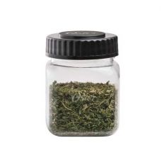 Mini Vaso de Licuadora Oster 300 ml