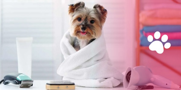 Guía de cuidado de las mascotas caninas