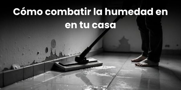 Cómo combatir la humedad en el ambiente y en tu casa