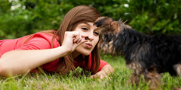 Que comen los perros?
